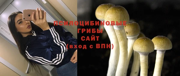 гидра Михайлов