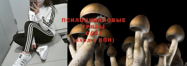 мяу мяу мука Алексеевка